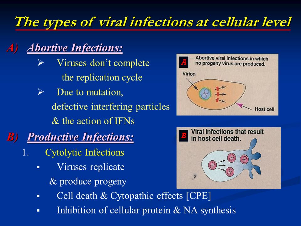 Viral Infections of the Mouth